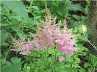 b56fd1ec-Picture 023.jpg